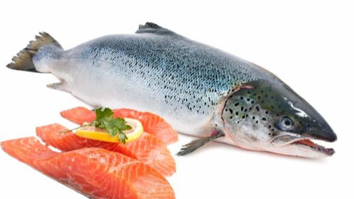 Các loại cá chứa nhiều chất béo