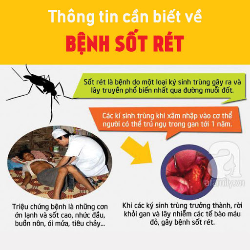 Các biện pháp phòng bệnh sốt rét