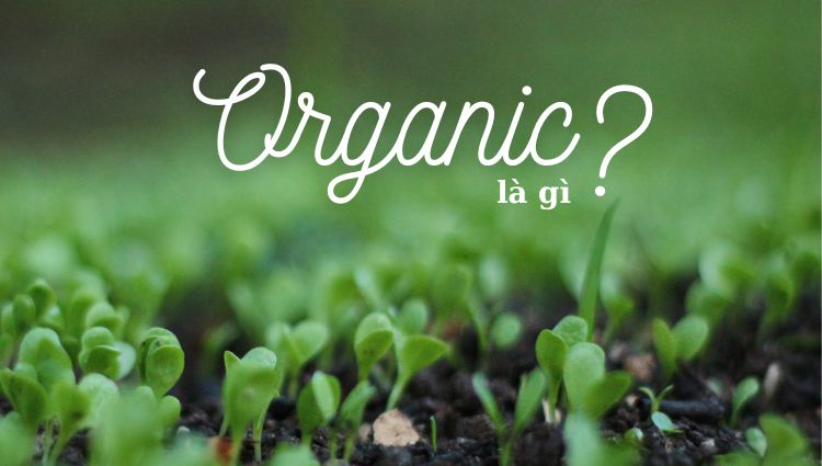 Organic có nghĩa là gì