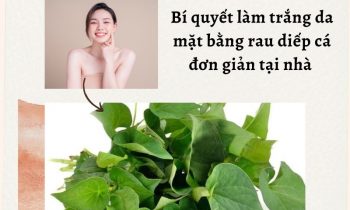 Bí quyết làm trắng da mặt với rau diếp cá hiệu quả tại nhà