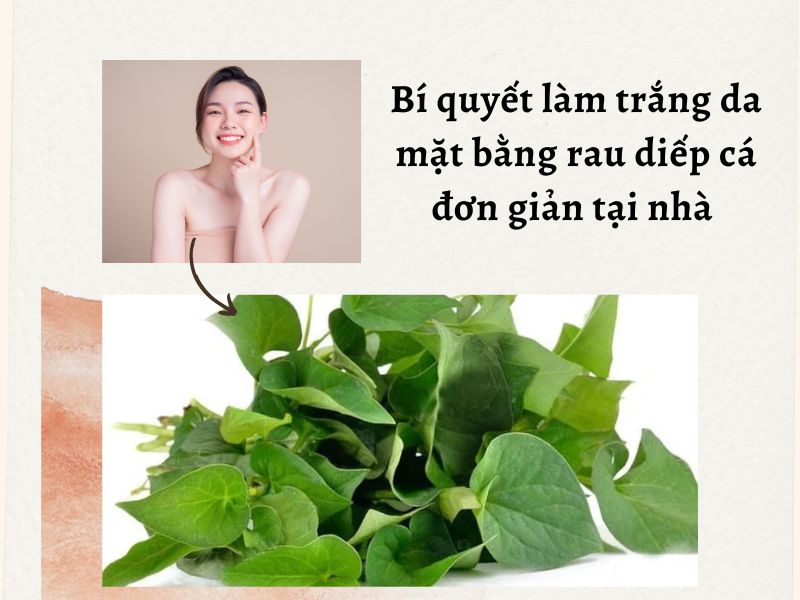 Bí quyết làm trắng da mặt với rau diếp cá hiệu quả tại nhà 